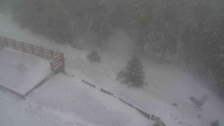 Přístup na běžeckou trať