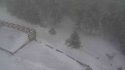 Přístup na běžeckou trať