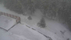 Přístup na běžeckou trať