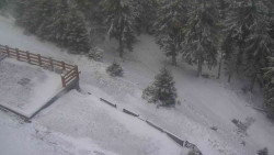 Přístup na běžeckou trať