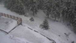 Přístup na běžeckou trať