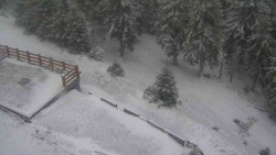 Přístup na běžeckou trať