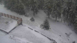 Přístup na běžeckou trať