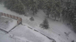 Přístup na běžeckou trať