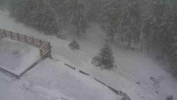 Přístup na běžeckou trať