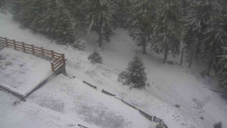 Přístup na běžeckou trať