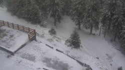 Přístup na běžeckou trať