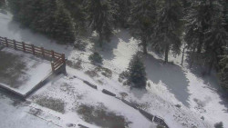 Přístup na běžeckou trať