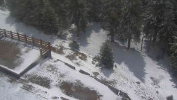 Přístup na běžeckou trať