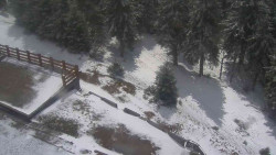 Přístup na běžeckou trať