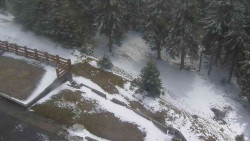 Přístup na běžeckou trať