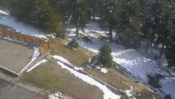 Přístup na běžeckou trať