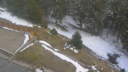 Přístup na běžeckou trať