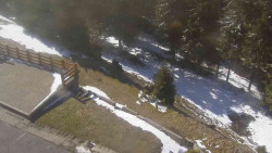 Přístup na běžeckou trať