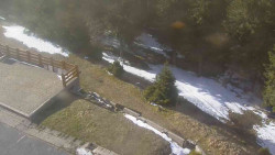 Přístup na běžeckou trať