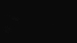 Přístup na běžeckou trať