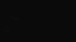 Přístup na běžeckou trať