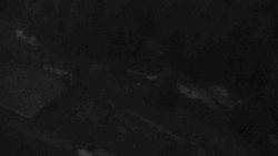 Přístup na běžeckou trať