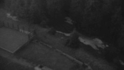 Přístup na běžeckou trať