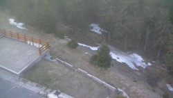 Přístup na běžeckou trať