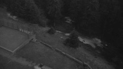 Přístup na běžeckou trať