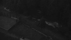 Přístup na běžeckou trať