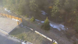 Přístup na běžeckou trať