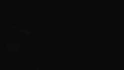 Přístup na běžeckou trať