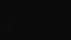 Přístup na běžeckou trať