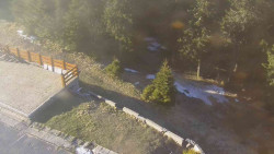 Přístup na běžeckou trať