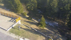 Přístup na běžeckou trať