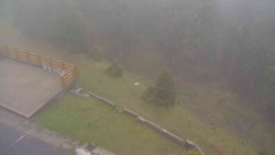 Přístup na běžeckou trať