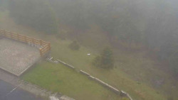 Přístup na běžeckou trať