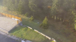 Přístup na běžeckou trať