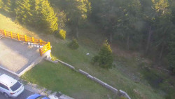 Přístup na běžeckou trať