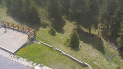 Přístup na běžeckou trať