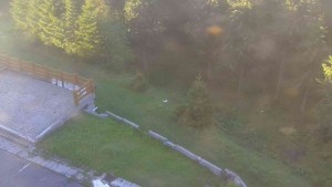 Sporthotel Kurzovní - Přístup na běžeckou trať - 2.6.2026 v 05:50 Sporthotel Kurzovní - Přístup na běžeckou trať - 2.6.2026 v 05:50