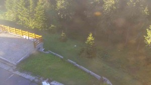 Sporthotel Kurzovní - Přístup na běžeckou trať - 2.6.2026 v 06:05 Sporthotel Kurzovní - Přístup na běžeckou trať - 2.6.2026 v 06:05