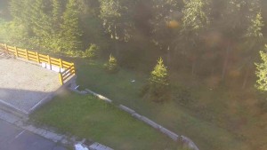 Sporthotel Kurzovní - Přístup na běžeckou trať - 2.6.2026 v 06:20 Sporthotel Kurzovní - Přístup na běžeckou trať - 2.6.2026 v 06:20