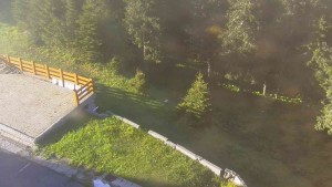 Sporthotel Kurzovní - Přístup na běžeckou trať - 2.6.2026 v 06:45 Sporthotel Kurzovní - Přístup na běžeckou trať - 2.6.2026 v 06:45