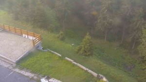 Sporthotel Kurzovní - Přístup na běžeckou trať - 2.6.2026 v 07:15 Sporthotel Kurzovní - Přístup na běžeckou trať - 2.6.2026 v 07:15