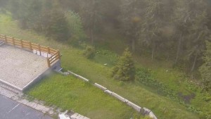 Sporthotel Kurzovní - Přístup na běžeckou trať - 2.6.2026 v 08:20 Sporthotel Kurzovní - Přístup na běžeckou trať - 2.6.2026 v 08:20