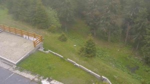 Sporthotel Kurzovní - Přístup na běžeckou trať - 2.6.2026 v 11:15 Sporthotel Kurzovní - Přístup na běžeckou trať - 2.6.2026 v 11:15