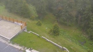 Sporthotel Kurzovní - Přístup na běžeckou trať - 2.6.2026 v 11:25 Sporthotel Kurzovní - Přístup na běžeckou trať - 2.6.2026 v 11:25