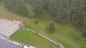 Sporthotel Kurzovní - Přístup na běžeckou trať - 2.6.2026 v 11:30 Sporthotel Kurzovní - Přístup na běžeckou trať - 2.6.2026 v 11:30