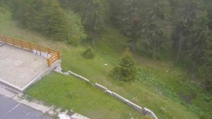 Sporthotel Kurzovní - Přístup na běžeckou trať - 2.6.2026 v 14:35 Sporthotel Kurzovní - Přístup na běžeckou trať - 2.6.2026 v 14:35
