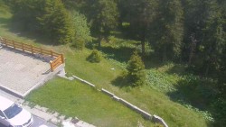 Přístup na běžeckou trať