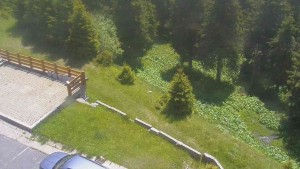 Sporthotel Kurzovní - Přístup na běžeckou trať - 16.6.2026 v 12:55 Sporthotel Kurzovní - Přístup na běžeckou trať - 16.6.2026 v 12:55