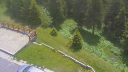 Zugang zur Laufbahn