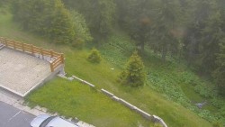 Zugang zur Laufbahn
